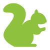 100px_nuts